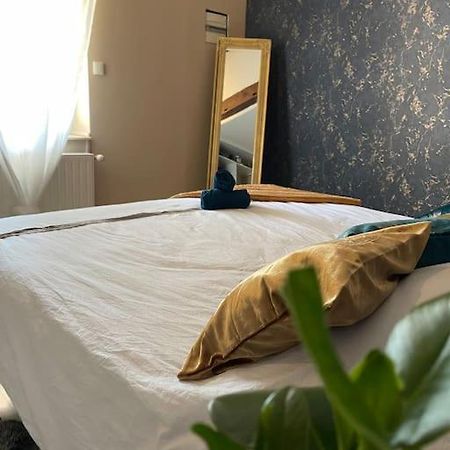 Appartement De Charme 80M2 Givors Esterno foto