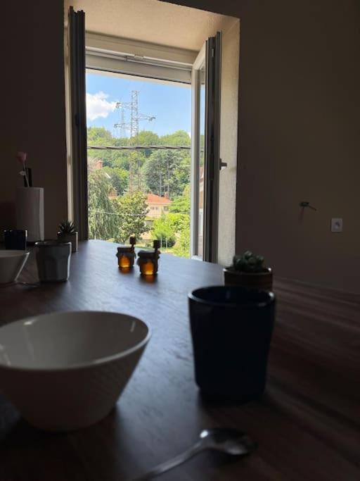 Appartement De Charme 80M2 Givors Esterno foto