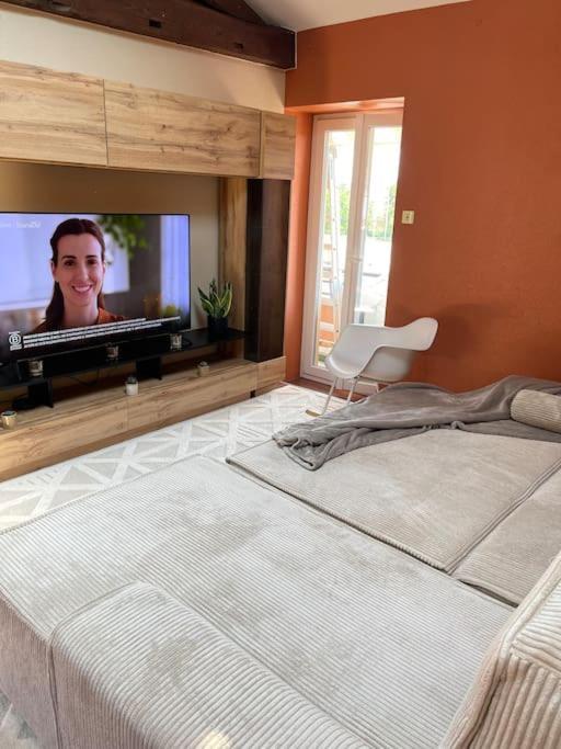 Appartement De Charme 80M2 Givors Esterno foto
