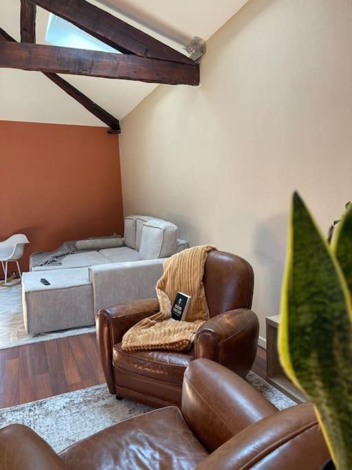 Appartement De Charme 80M2 Givors Esterno foto