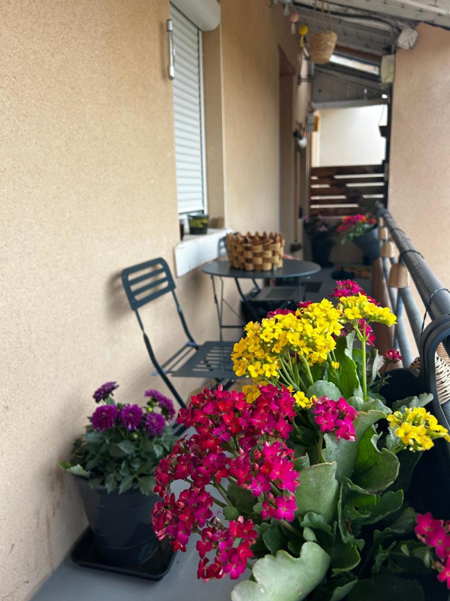 Appartement De Charme 80M2 Givors Esterno foto